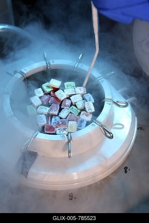 Artificial insemination, Centre for Reproductive Medicine, Centre for Fertility Treatment, private clinic in Duesseldorf, North Rhine-Westphalia, Germany, Europe-stock-foto