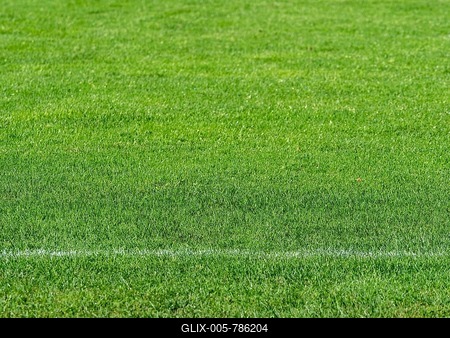 Sports facility Lawn Soccer ball pitch Grass-stock-foto