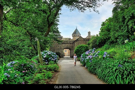 Garden access road, Tresco Abbey Garden, Isles of Scilly, Isles of Scilly, Cornwall, England, United Kingdom-stock-foto
