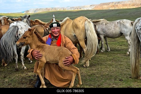 Mongolian man, horse shepherd, in traditional dress with foal and herd of horses, Mongolia-stock-foto