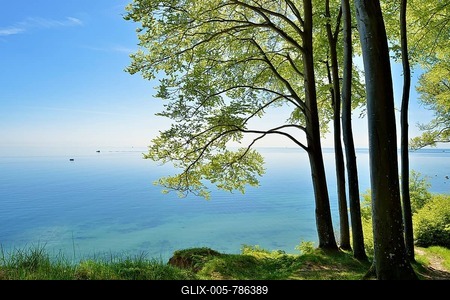 Beech forest on the high bank above the chalk cliffs in spring, fresh greenery, view of the Baltic Sea, Jasmund National Park, UNESCO World Heritage Site, Island of Rügen, Mecklenburg-Western Pomerania, Germany-stock-foto