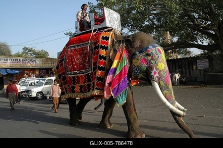 Decorated elephant at the Gangaur Festival in Jaipur, Rajasthan, India, Asia-stock-foto