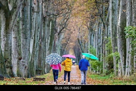 Autumn walk with umbrella in rainy weather, three people walk through the plane tree avenue in the Lower Palace Garden in Stuttgart, Baden-Württemberg, Germany-stock-foto