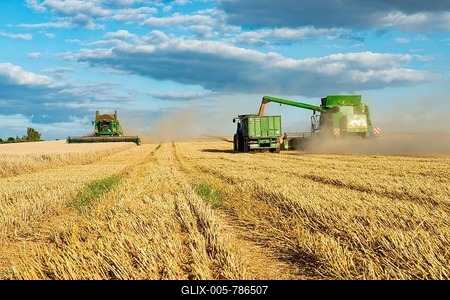 Combine harvester harvesting wheat and unloading grain onto tractor with trailer, endless cornfield, blue sky with cumulus clouds, Saalekreis, Saxony-Anhalt, Germany-stock-foto