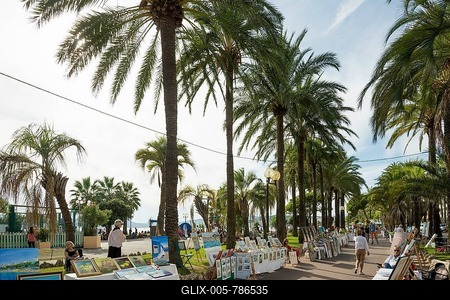 Palm trees on the beach promenade, Cannes, Côte d' Azur, Provence-Alpes-Côte d' Azur, South of France, France-stock-foto