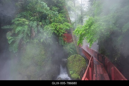 Steaming hot springs in the gorge of the Termas Geometricas, Panguipulli, Región de Los Ríos, Chile-stock-foto