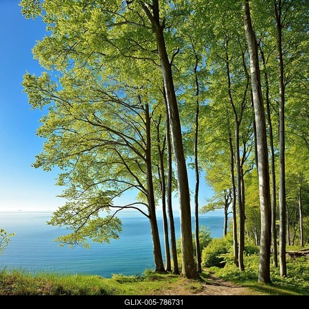 Hiking trail through beech forest on the high bank above the chalk cliffs in spring, fresh greenery, view of the Baltic Sea, Jasmund National Park, UNESCO World Heritage Site, Island of Rügen, Mecklenburg-Western Pomerania, Germany-stock-foto