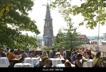 View from the Schlossberg hill on the Muenster cathedral, Freiburg, Baden-Wuerttemberg, Germany, Europe-stock-foto