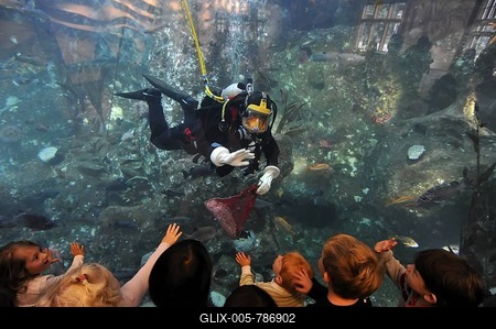 Children, visitors in front of a scuba diver wearing a dry suit, Window on Washington Waters & Crashing Waves pool, Seattle Aquarium, Seattle, Washington, United States of America, USA-stock-foto