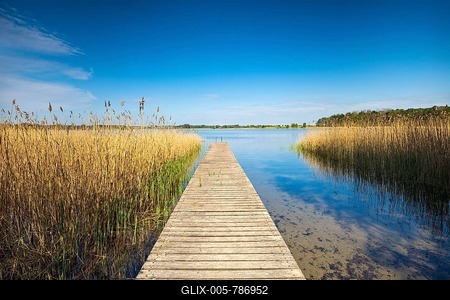 Bathing place with wooden jetty, clear lake with reed belt, Rödliner See, near Neustrelitz, Mecklenburg-Western Pomerania, Germany-stock-foto
