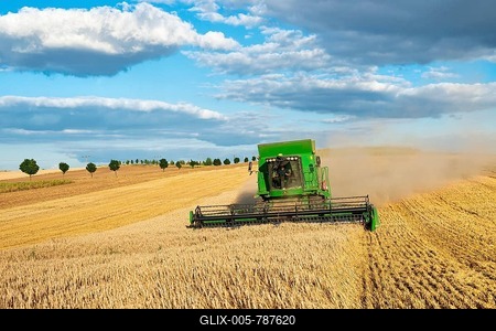 Combine harvester harvesting wheat, endless cornfield, blue sky with cumulus clouds, Saalekreis, Saxony-Anhalt, Germany-stock-foto