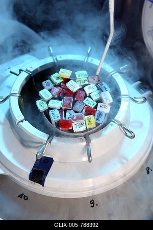 Artificial insemination, Centre for Reproductive Medicine, Centre for Fertility Treatment, private clinic in Duesseldorf, North Rhine-Westphalia, Germany, Europe-stock-foto