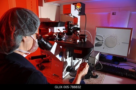 Artificial insemination using the ICSI method, intracytoplasmic sperm injection, under the microscope, Centre for Reproductive Medicine, Centre for Fertility Treatment, private clinic in Duesseldorf, North Rhine-Westphalia, Germany, Europe-stock-foto