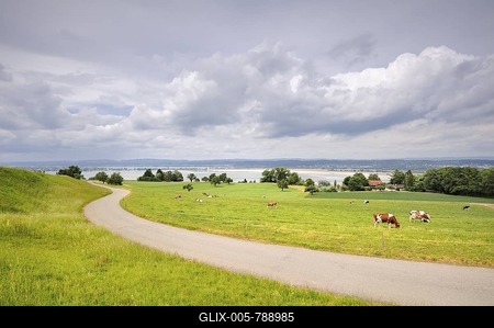 Pasture in the Seeruecken hills at Triboltingen, Canton Thurgau, Switzerland, Europe-stock-foto