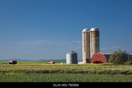 Barley and potato field with a farm building and two grain silos, Saint-Jean, Ile d'Orleans, Quebec, Canada-stock-foto