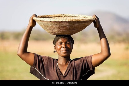 Tonga woman carries a basket with millet to her village at the Lake Kariba, Zambia-stock-foto
