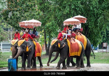 Native tourists riding decorated elephants, Ayutthaya, Thailand-stock-foto
