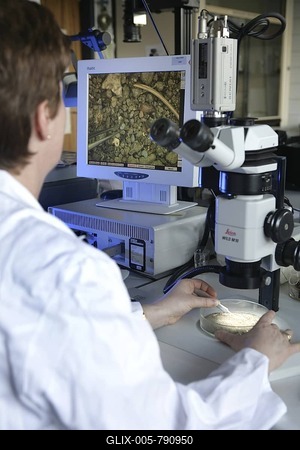DEU, Germany, Duesseldorf: Police NRW, Federal Police, technical crime investigation service. Analysis of earth and plant traces-stock-foto
