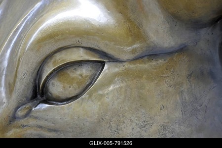 Detail, Charging Bull sculpture, New York Stock Exchange, NYSE, Bowling Green, Wall Street, Manhattan, New York City, USA-stock-foto