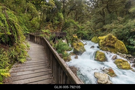 Wooden footbridge at Marian Falls, road to Lake Marian, Fiordland National Park, Te Anau, Southland, New Zealand-stock-foto