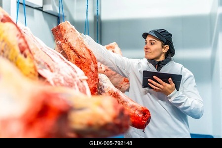 Female butcher using digital tablet to analyze products in a cold meat storage room-stock-foto