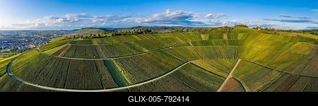 Drone shot, vineyards at Nonnenberg, Remstal near Schnait, Baden-Württemberg, Germany-stock-foto