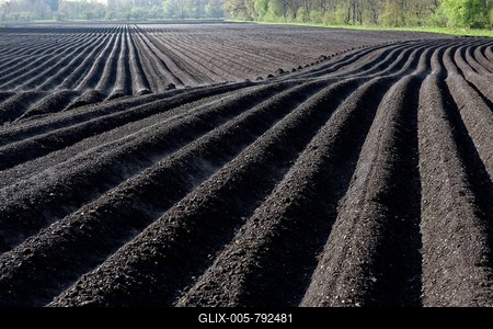 Plowed field, furrows, black earth, Upper Dinger Moos, Oberding, Upper Bavaria, Bavaria, Germany-stock-foto