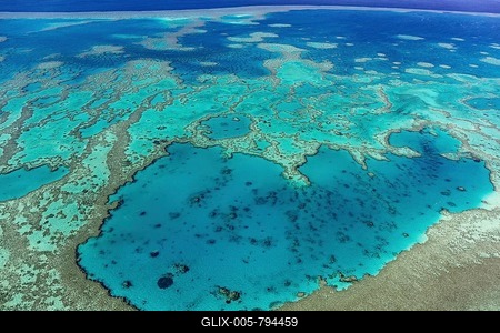 Structures in the Coral Reef, Outer Great Barrier Reef, Queensland, Australia-stock-foto