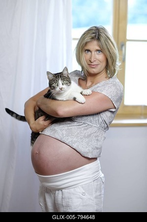 Pregnant woman with cat, danger of toxoplasmosis (Toxoplasma gondii) infection-stock-foto