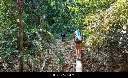 Tourist, hiker, young woman balancing on a tree trunk in the jungle, Kuala Tahan, Taman Negara, Malaysia-stock-foto