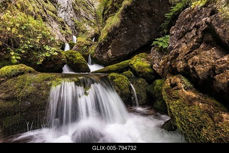 Forest stream in Hartelsgraben, Gesaeuse National Park, Styria, Austria-stock-foto