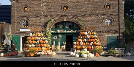 Pumpkins for sale, Kürbishof, Hof Ligges, Kamen, North Rhine-Westphalia, Germany-stock-foto