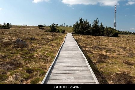 Bog, Ruthard-Hambrecht-Weg, Ruthard-Hambrecht path, Hornisgrinde, Black Forest National Park, Baden-Württemberg, Germany-stock-foto