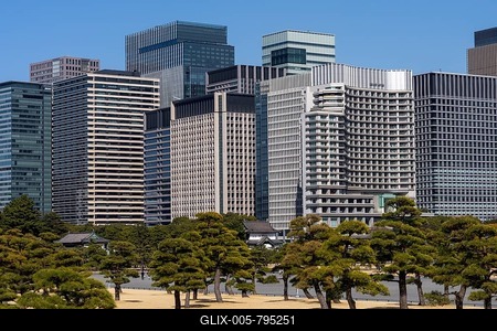 View of trees and skyscrapers, Kokyogaien National Garden, Chiyoda, Tokyo Prefecture, Tokyo, Japan-stock-foto