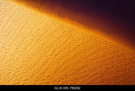 The sandy shore of a freshwater marsh, aerial view, Okavango Delta, Moremi Game Reserve, Botswana-stock-foto