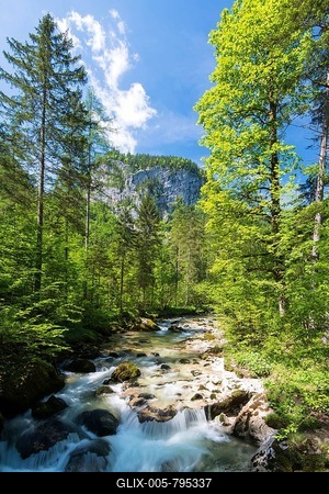 Waldbachstrub, forest stream in Echerntal, Hallstatt, Upper Austria, Austria-stock-foto