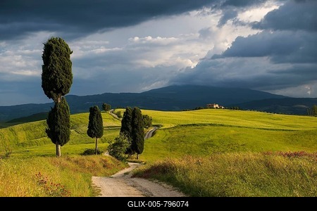 Landscape with rural road, near Pienza, Val d'Orcia, Province of Siena, Tuscany, Italy-stock-foto