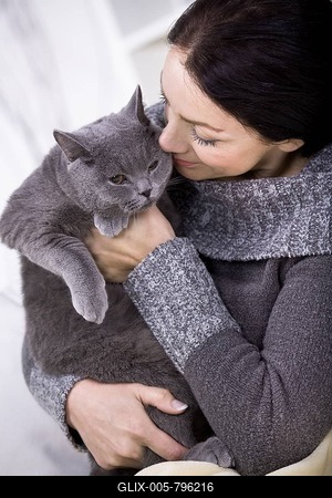 A young woman at home with a British Shorthair cat-stock-foto