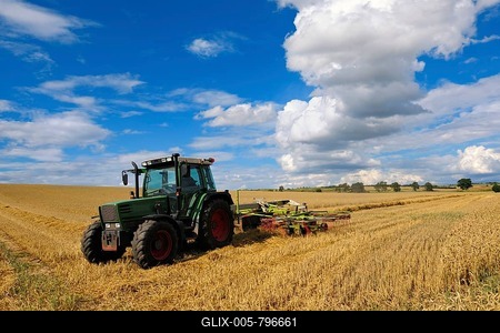 Tractor working in a cereal field, stubble field, cultivated landscape in summer, blue sky with cumulus clouds, Saalekreis, Saxony-Anhalt, Germany-stock-foto