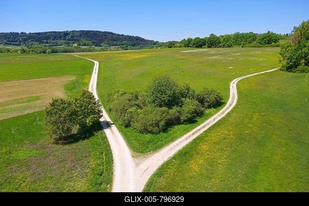 Fork in meadow with bushes, symbolic picture of a crossroads, divorce, separation, going separate ways, near Hausheim, Berg bei Neumarkt, Upper Palatinate, Franconia, Bavaria Germany-stock-foto