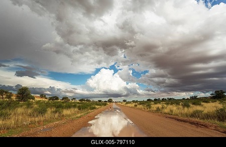 Puddles on road and cumulus clouds, Kalahari Desert during rainy season, Kalahari Desert, Kgalagadi Transfrontier Park, South Africa-stock-foto