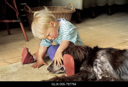 Two year-olf Boy with dog (Setter)-stock-foto