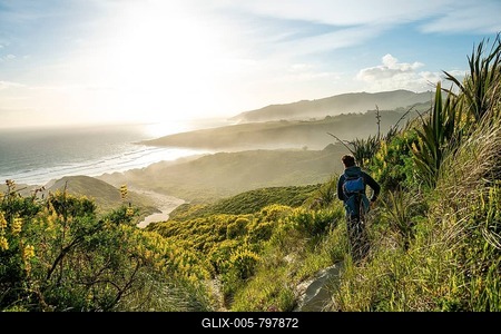 Young man looking over a bay, yellow lupins (Lupinus luteus) on sand dunes, view of sandy beach on the coast, Sandfly Bay, Dunedin, Otago, Otago Peninsula, South Island, New Zealand-stock-foto