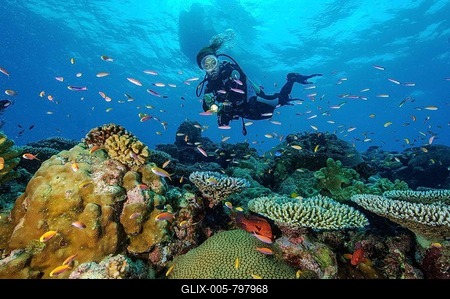 Diver looking at intact coral reef with various stony corals (Scleractinia), in the background on the water surface silhouette of diving boat, Pacific Ocean, Yap Island, Caroline Islands, Micronesia-stock-foto