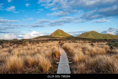 Hiking trail through grassland, Maude Peak and Henry Peak at the back, Pouakai Circuit, Egmont National Park, Taranaki, North Island, New Zealand-stock-foto