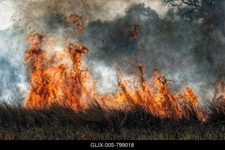Bushfire in the African Savannah, Botswana-stock-foto