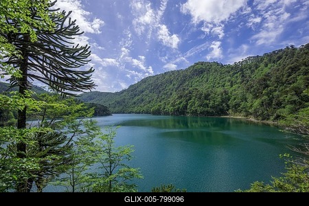 Lago Chico, Huerquehue National Park, Pucón, Araucanía Region, Chile-stock-foto