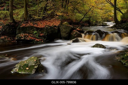 Stream of the Hoegne in autumn, Hohes Venn, Ardennes, Wallonia, Belgium-stock-foto