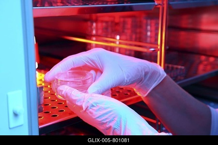 Egg cells in petri dishes in an incubator, artificial insemination, Centre for Reproductive Medicine, Centre for Fertility Treatment, private clinic in Duesseldorf, North Rhine-Westphalia, Germany, Europe-stock-foto