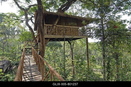 Tree house, Tranquil Estate, North Kerala, Western Ghats, South India, Asia-stock-foto